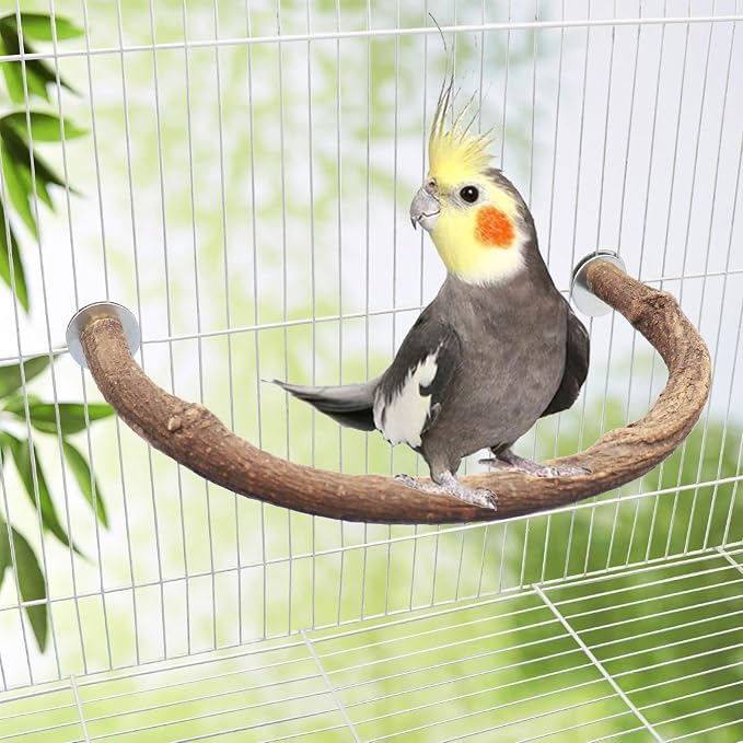 2 Pack Bird Perch Stand, Natural Wood U Shape Parrot Stand Pole, Bird Cage - Image 4