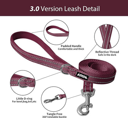 AIITLE Step in Dog Harness and Leash Set - Image 5