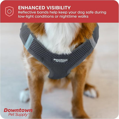 Downtown Pet Supply Step-in Dog Harness – No Pull, Adjustable Padded Mesh - Image 7