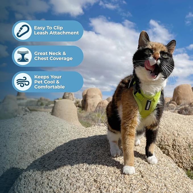 Voyager Escape-Proof Step-in Lock Cat Harness & 5ft Neoprene-Handle Leash Set - Image 5