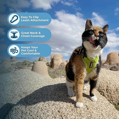 Voyager Escape-Proof Step-in Lock Cat Harness & 5ft Neoprene-Handle Leash Set - Image 5
