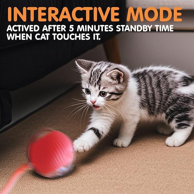 Rocfish Durable Interactive Cat Toys - Image 6