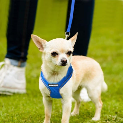 PetiFine Step in Small Dog Harness and Leash Set, Breathable All Weather Air - Image 8