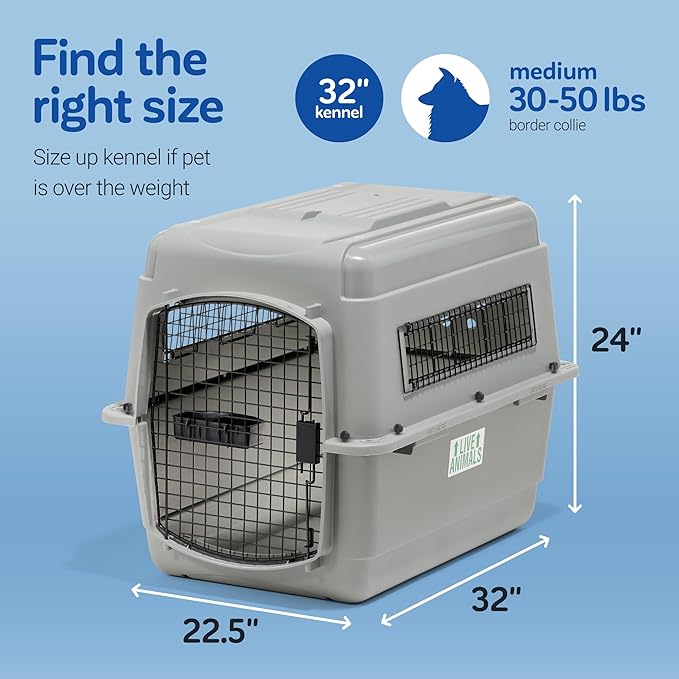 Petmate Sky Kennel - Image 4