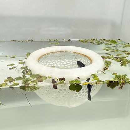 Aquarium Floating Betta Fish Skins, Betta or Shrimp Feeder, Cave and Hammock by HOZOE
