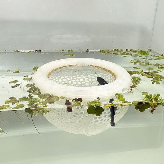 Aquarium Floating Betta Fish Skins, Betta or Shrimp Feeder, Cave and Hammock by HOZOE