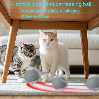 Interactive Cat Dog Toy Ball: Indoor Small Automatic Moving Smart Rolling Fun - Image 8