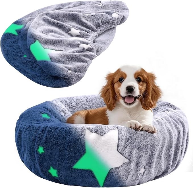 Glow in The Dark Dog Bed Cover by Hoopttay