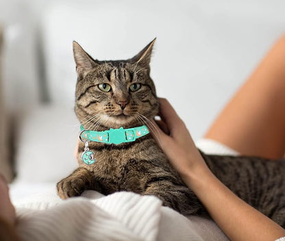 2Pcs Breakaway Cats Collars Cat Collars - Image 6