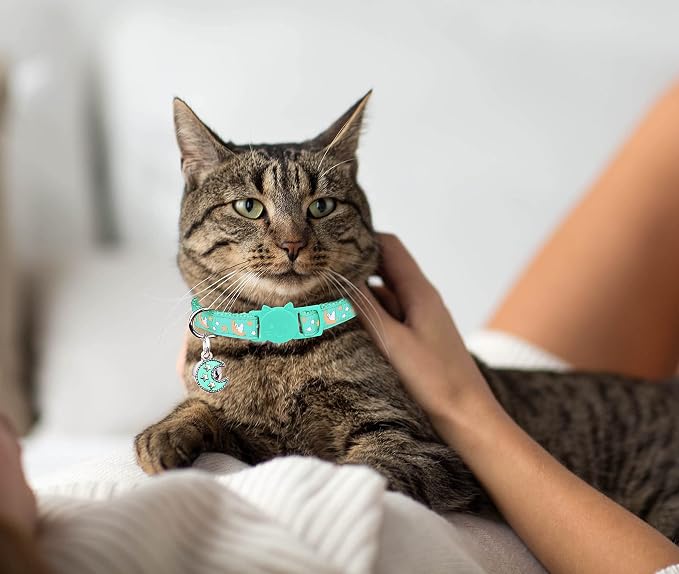 2Pcs Breakaway Cats Collars Cat Collars - Image 7