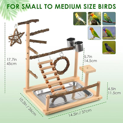 KATUMO Bird Playground - Image 5