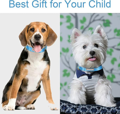 Nylon Dog Collar - Image 3