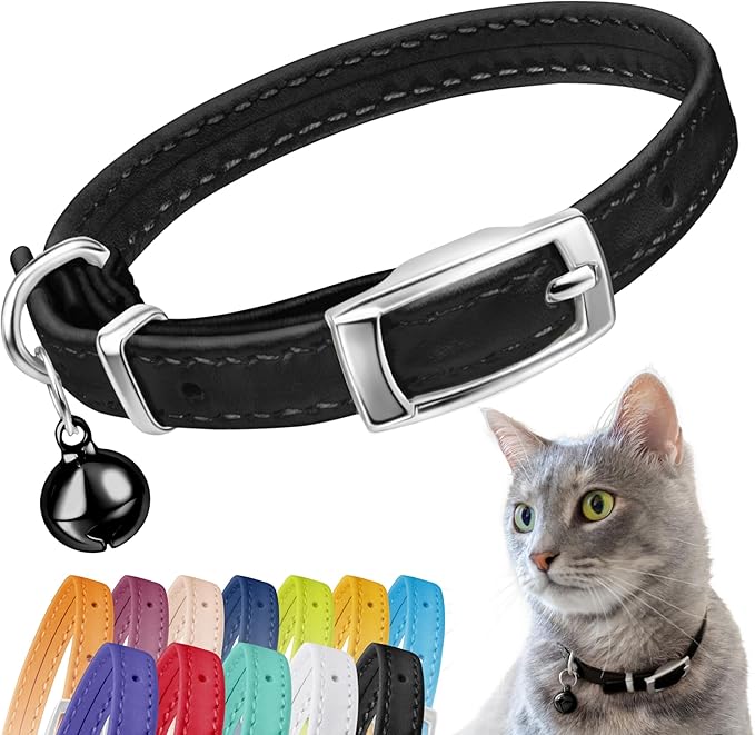 CollarDirect Leather Cat Collar, Kitten Collar by CollarDirect
