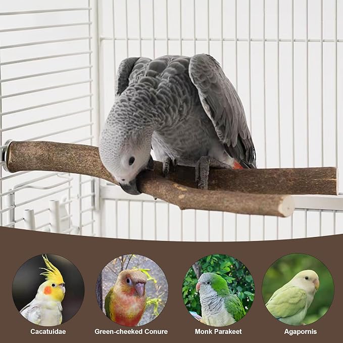 6 PCS Bird Perch Set, Natural Birch Wood Straight & Forked Perches - Image 8