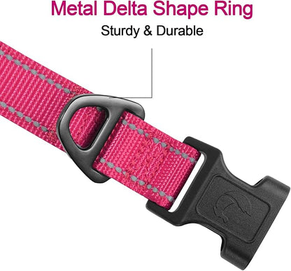 Joytale Reflective Dog Collar, Soft Neoprene Padded, Metal D-Ring, Nylon Pet - Image 3