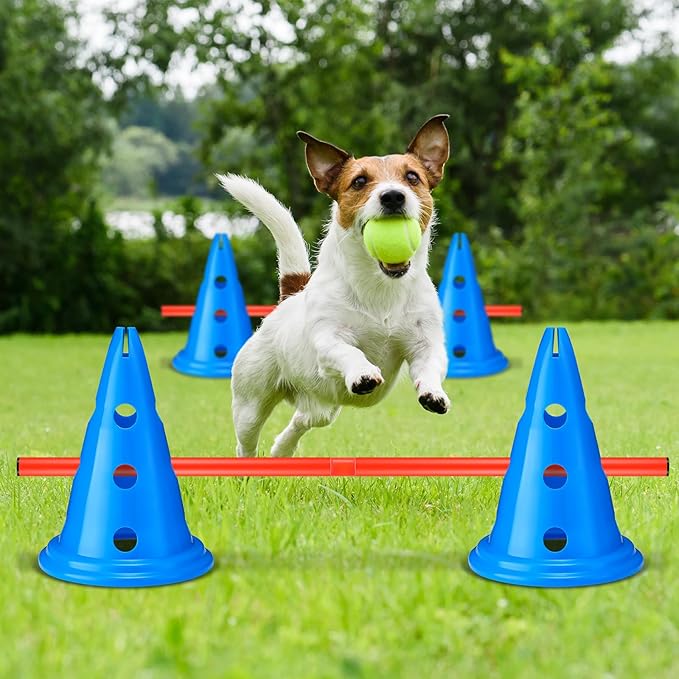 10 Sets Dog Agility Hurdle Cone Set 20 Pcs Exercise Cones - Image 6