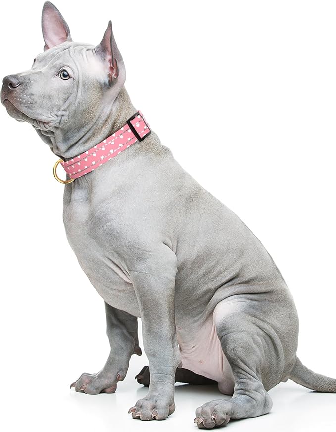 Reflective Dog Collar for Medium Dogs, Cute Adjustable Heavy-Duty Nylon Puppy - Image 2