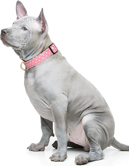 Reflective Dog Collar for Medium Dogs, Cute Adjustable Heavy-Duty Nylon Puppy - Image 2