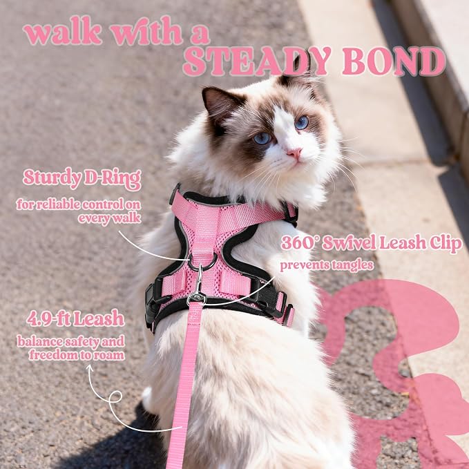 rabbitgoo Cat Harness and Leash - Image 5