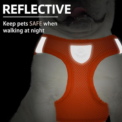 PUPTECK Adjustable Dog Harness Collar and Leash Set Step in No Pull Pet Harness - Image 5