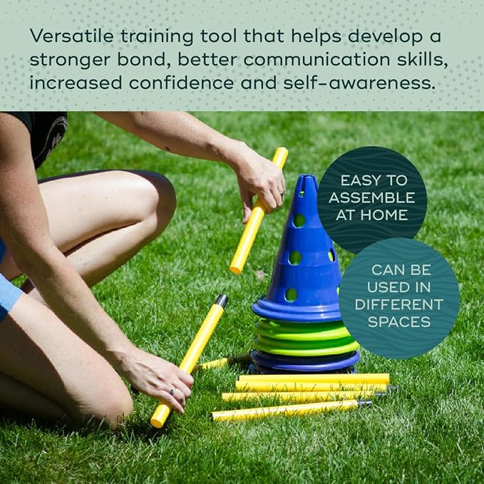FitPAWS Ball Dynamics CanineGym Agility Kit - Image 3