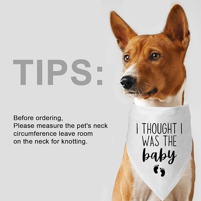 Dog Pregnancy Announcement Bandana - Image 7