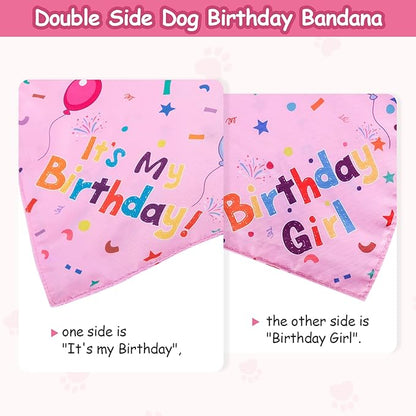 Dog Boy Girl Birthday Party Hat, Dog Birthday Party Supplies, Doggie Birthday - Image 5