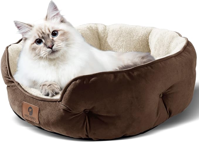 Asvin Medium Dog Bed for Medium Dogs, Cat Beds for Indoor Cats, Pet Bed for - Image 2
