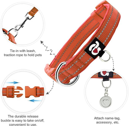 azuza Reflective Dog Collar, Soft Neoprene Padded Pet Collar - Image 2