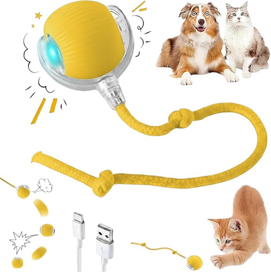Interactive Electric Automatic Rolling Moving Rechargeable Self Play by Unknown