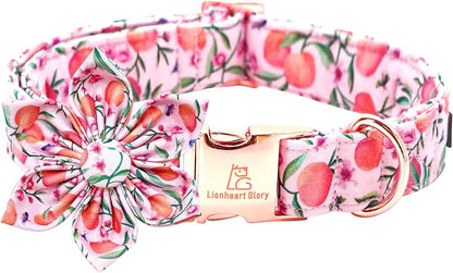 Lionheart Glory Pink Peach Dog Collar by LionheartGlory