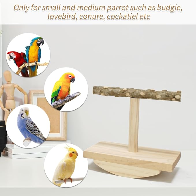 Natural Wood Bird Perch Stand, Rocking Perch - Image 6