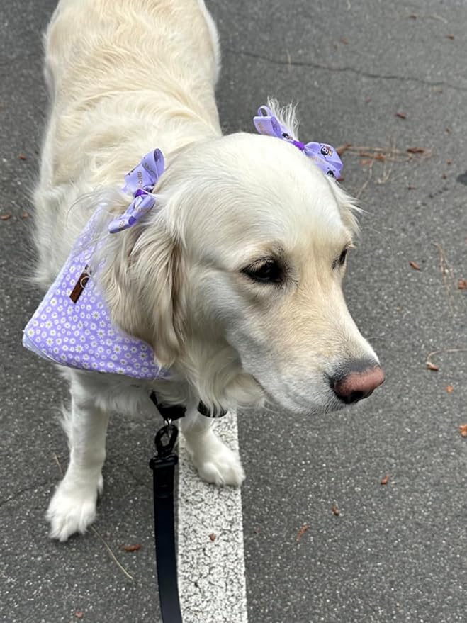 Lionet Paws Spring Daisy Dog Bandana Washable Cotton Handkerchief Scarf - Image 5