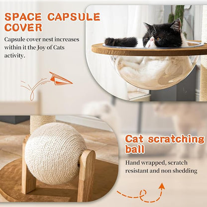 Modern Cat Tree for Indoor Cats, Wood Cat Tree - Image 4