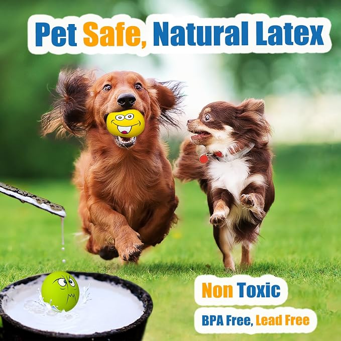 Latex Dog Squeaky Toys Rubber Soft Dog Toys Chewing Squeaky Toy Fetch Play - Image 5