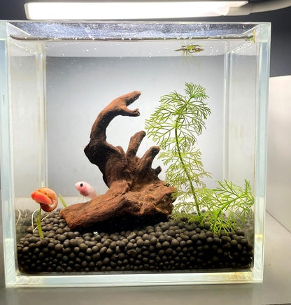 Small Natural Driftwood for Aquarium Styling Carefully Selected Natural - Image 7