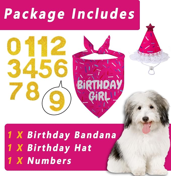 Dog Birthday Bandana Set, Rose Pink Birthday Girl Decorations, HBD Party - Image 2