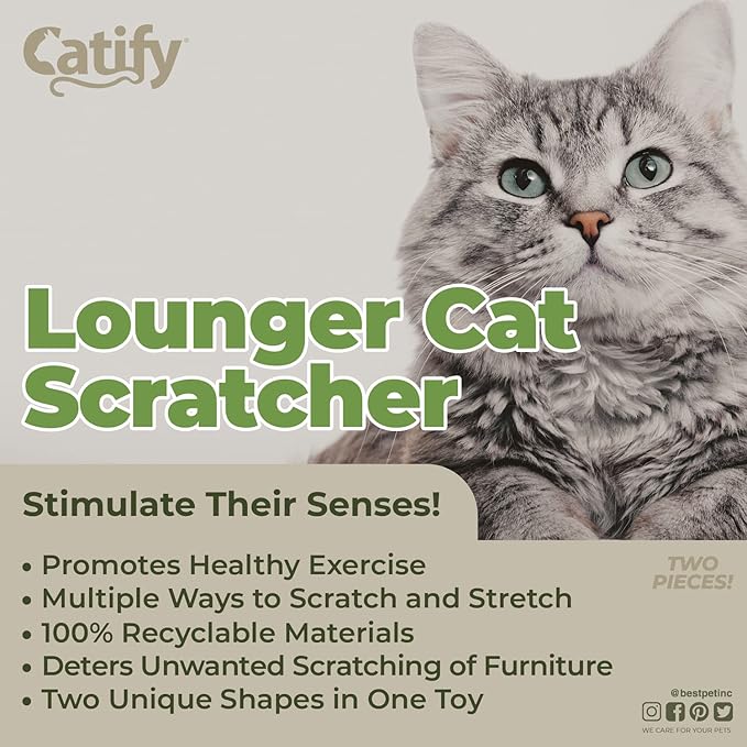 Best Pet Supplies Catify Cat Scratcher, Fun Interactive Scratchers, Claw Safe - Image 4