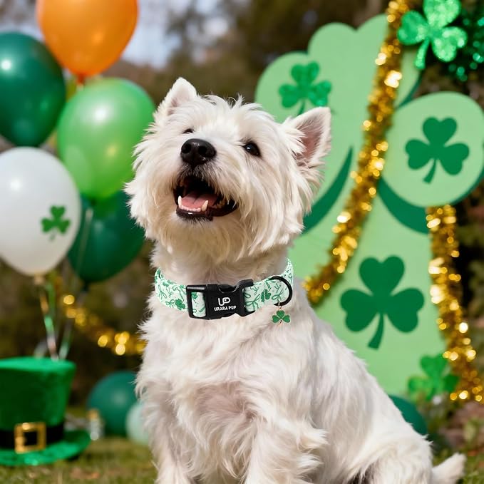 St. Patrick's Day Dog Collar, UP URARA PUP Shamrock Adjustable Pet Collar - Image 5