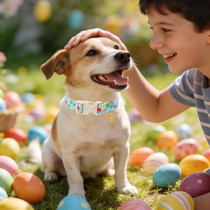 Easter Day Dog Collar, UP URARA PUP Easter Bunny Adjustable Pet Collar - Image 6