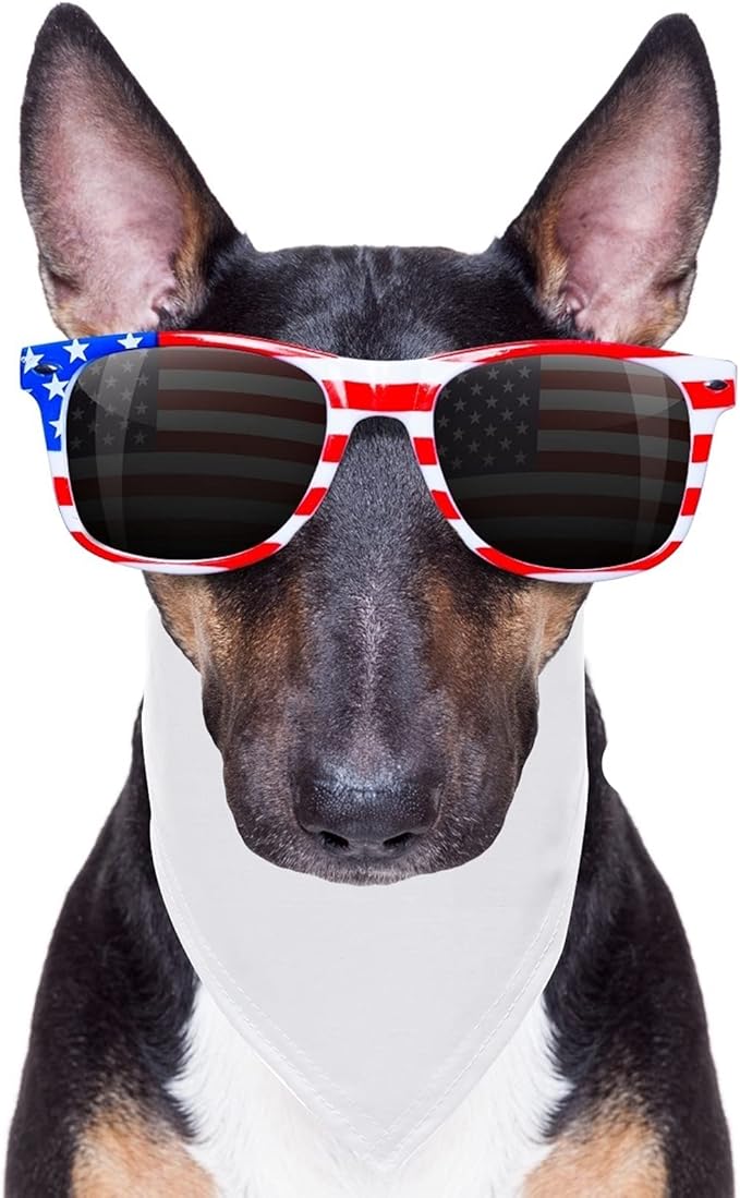 12 Pieces Sublimation Pet Bandanas White Heat Transfer Triangle Dog Scarf Blank - Image 6