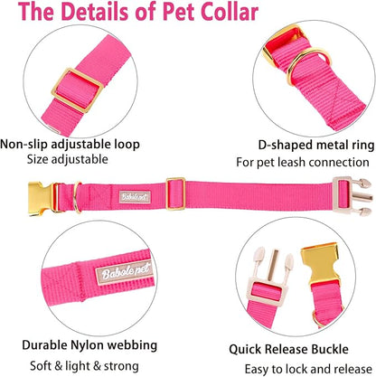 Nylon Dog Collar - Image 4
