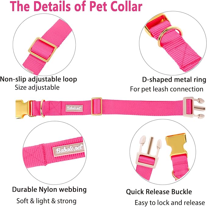 Nylon Dog Collar - Image 4