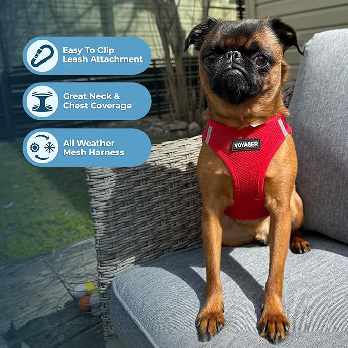 Best Pet Supplies Voyager Step-in Air Harness - Image 3