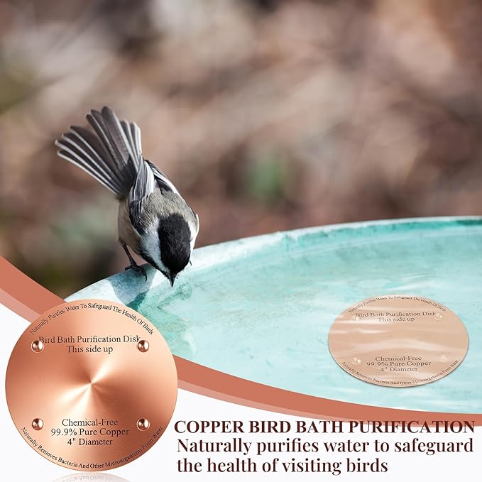 8 Pcs Bird Bath Copper Disk, 0.6mm Thick Reinforced 99.99% Pure Copper Birdbath - Image 7