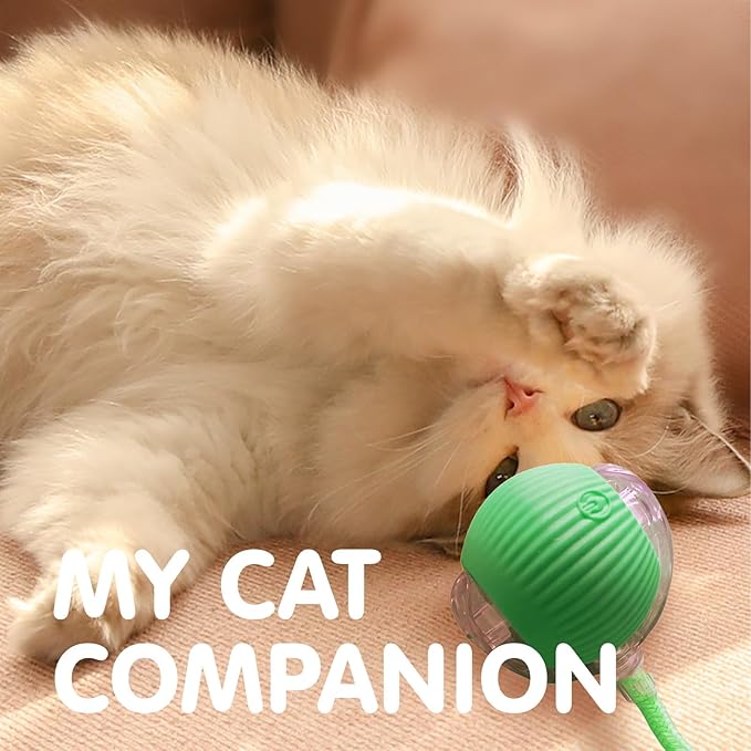 Rocfish Durable Interactive Cat Toys - Image 8