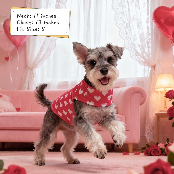 EXPAWLORER Cat Valentines Outfit Sweater - Image 5