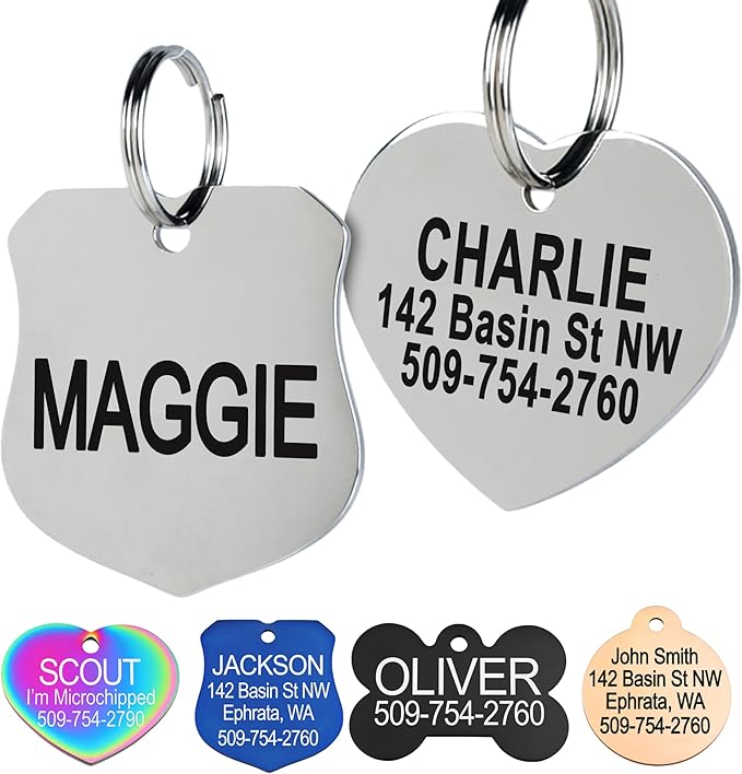 GoTags Stainless Steel Pet ID Tags, Personalized Dog Tags and Cat Tags by GoTags