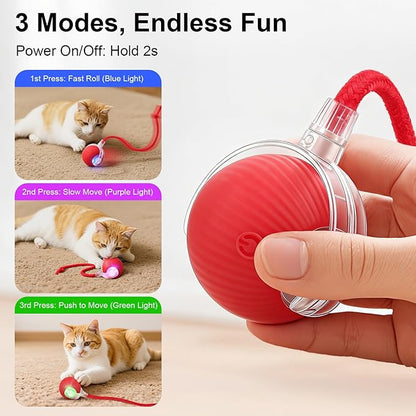 Interactive Electric Automatic Rolling Moving USB Rechargeable Self Activated - Image 3