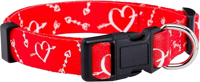 Native Pup Valentine’s Dog Collar- Valentines Day Pet Collars- Valentine Girly by NativePup